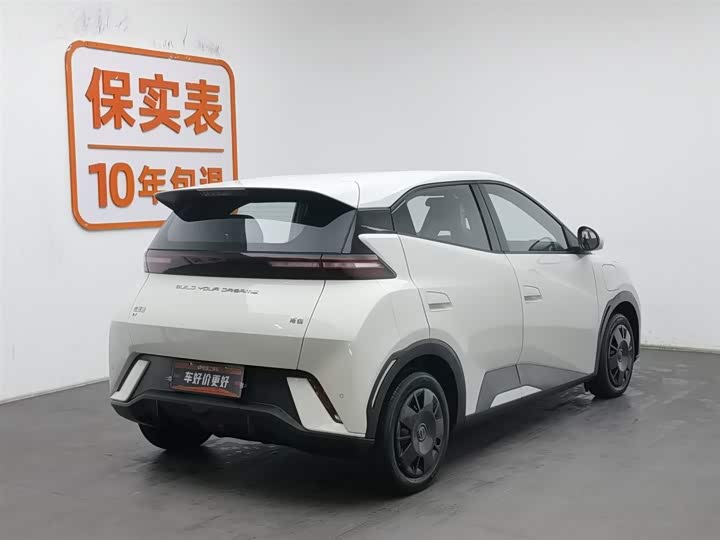 Фото 2 - BYD Seagull