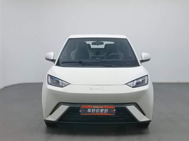 Фото 3 - BYD Seagull