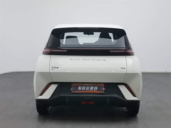 Фото 4 - BYD Seagull