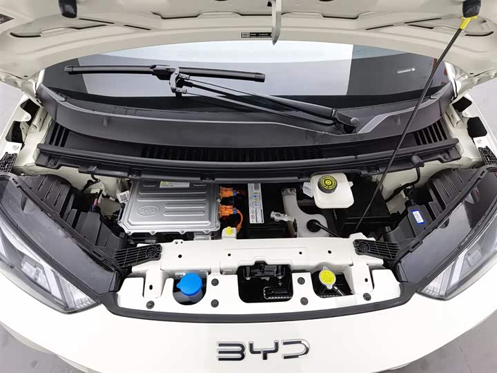 Фото 6 - BYD Seagull