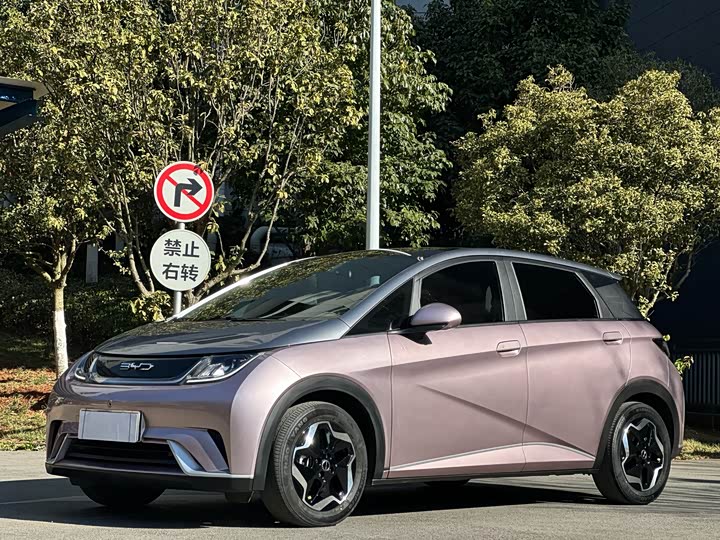 Фото 1 - BYD Dolphin