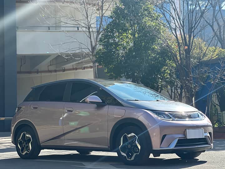 Фото 2 - BYD Dolphin