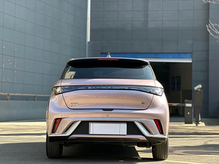 Фото 4 - BYD Dolphin