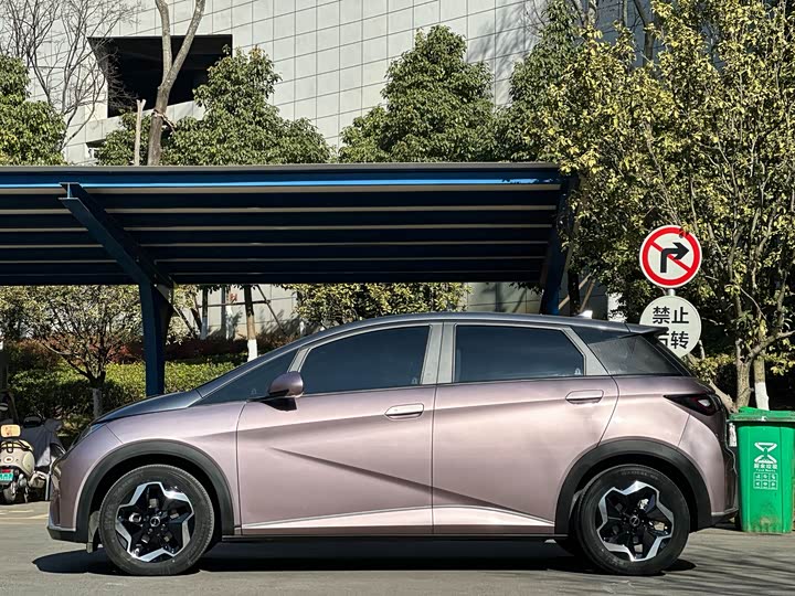 Фото 5 - BYD Dolphin