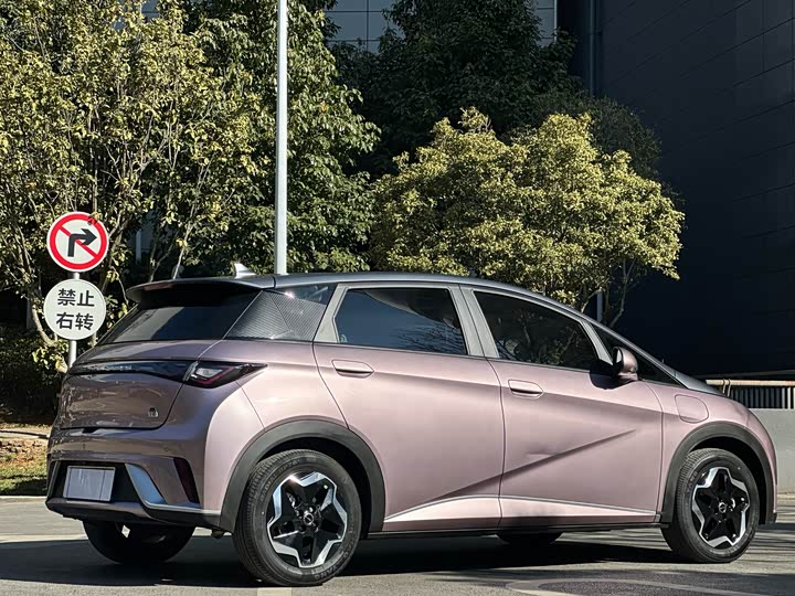 Фото 6 - BYD Dolphin