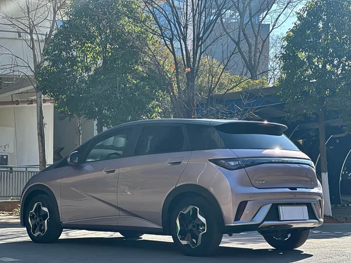 Фото 7 - BYD Dolphin