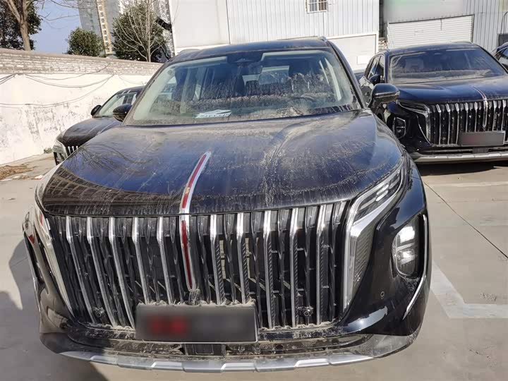 Фото 3 - Hongqi HS7 Hybrid