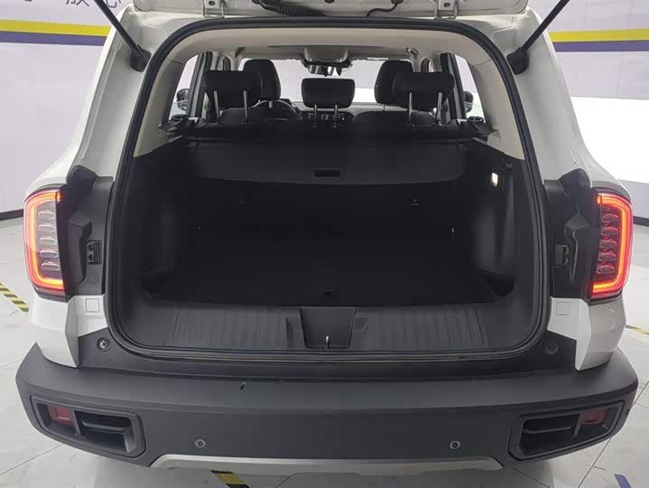 Фото 4 - Haval Dargo