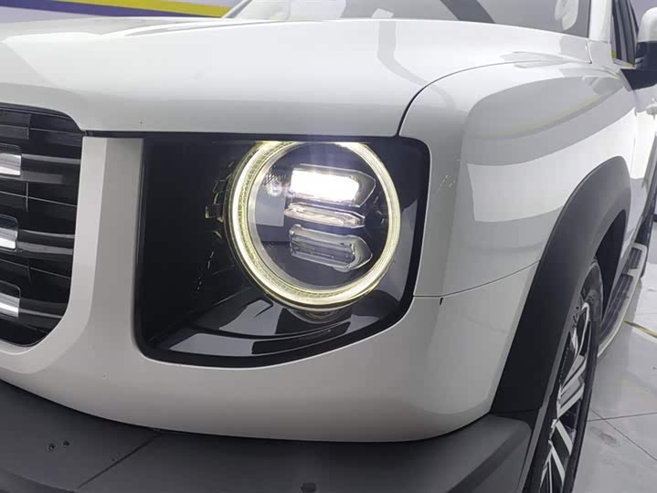 Фото 5 - Haval Dargo