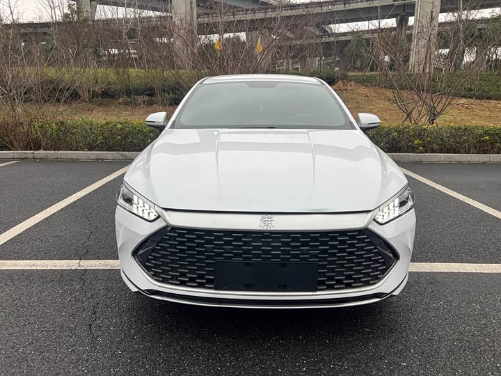 Фото 2 - BYD Qin Plus