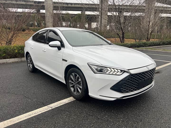 Фото 3 - BYD Qin Plus