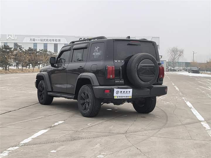 Фото 4 - Tank 300