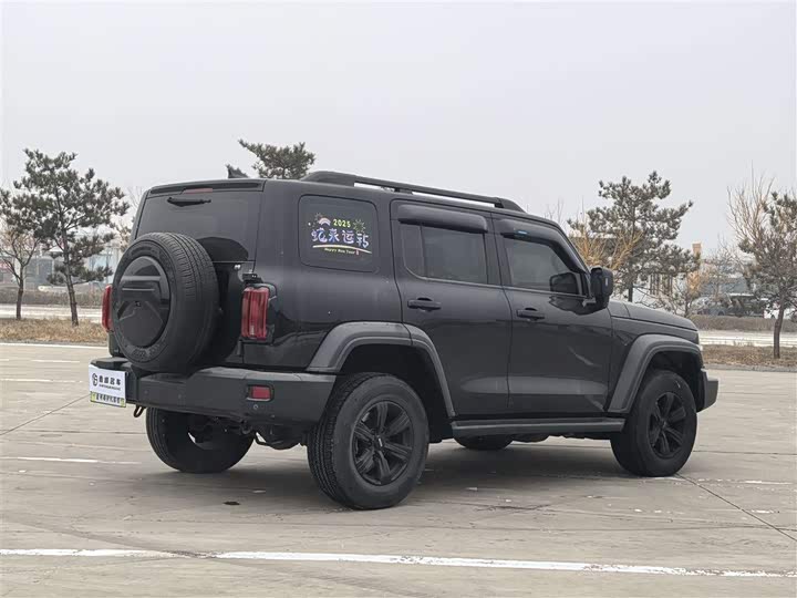 Фото 5 - Tank 300