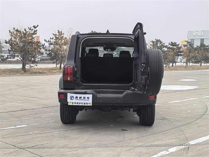 Фото 6 - Tank 300