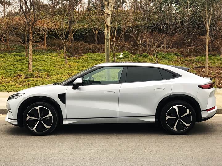 Фото 2 - BYD Song L