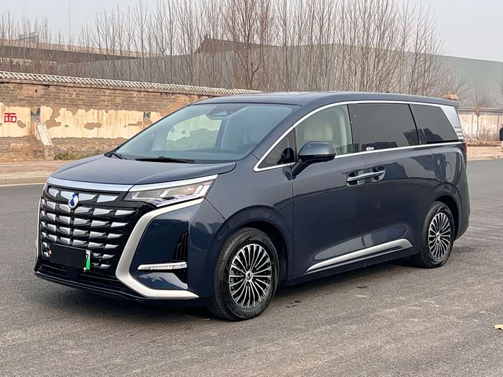 Фото 2 - Denza D9