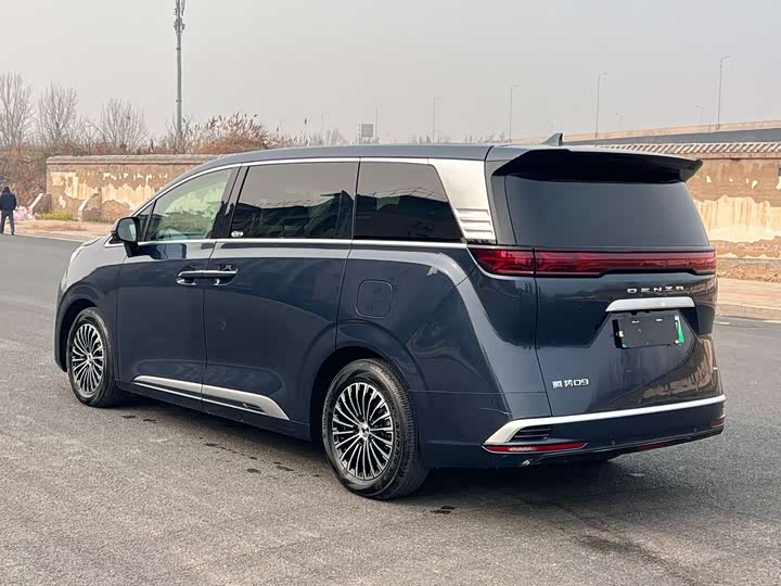 Фото 9 - Denza D9