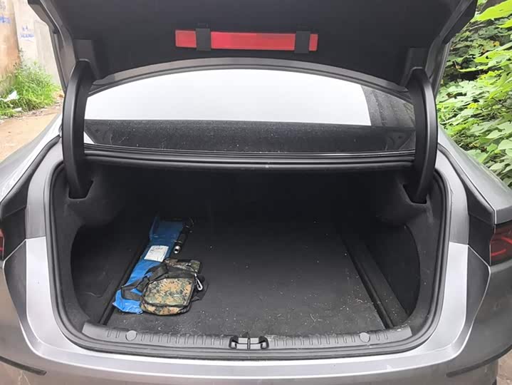 Фото 4 - BYD Han