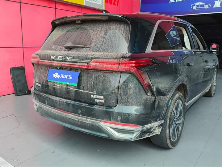 Фото 3 - Wey Lanshan