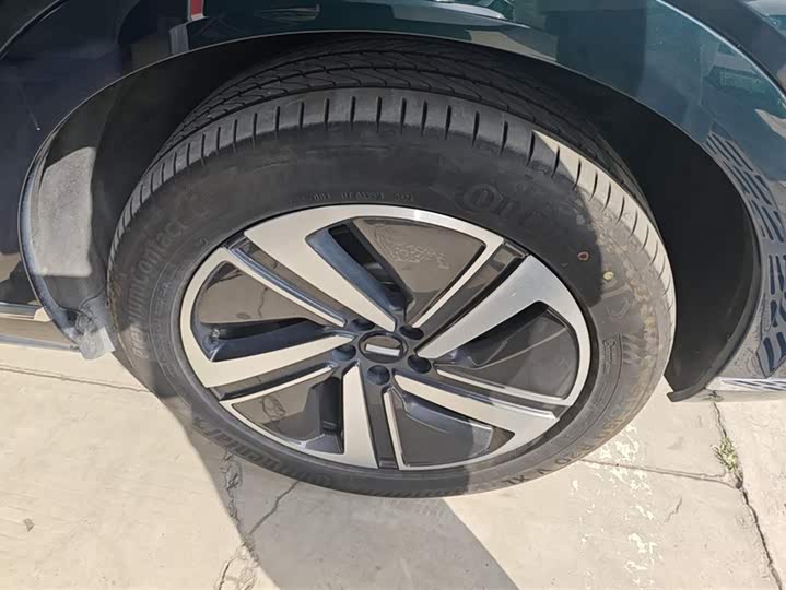 Фото 6 - Wey Lanshan