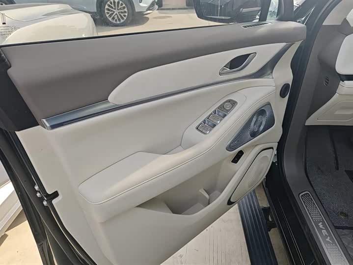 Фото 7 - Wey Lanshan