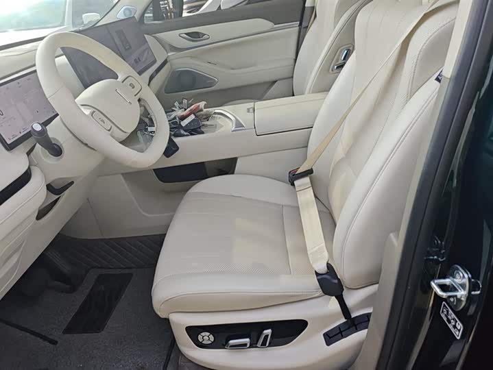 Фото 9 - Wey Lanshan