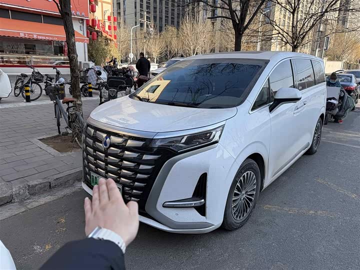 Фото 1 - Denza D9