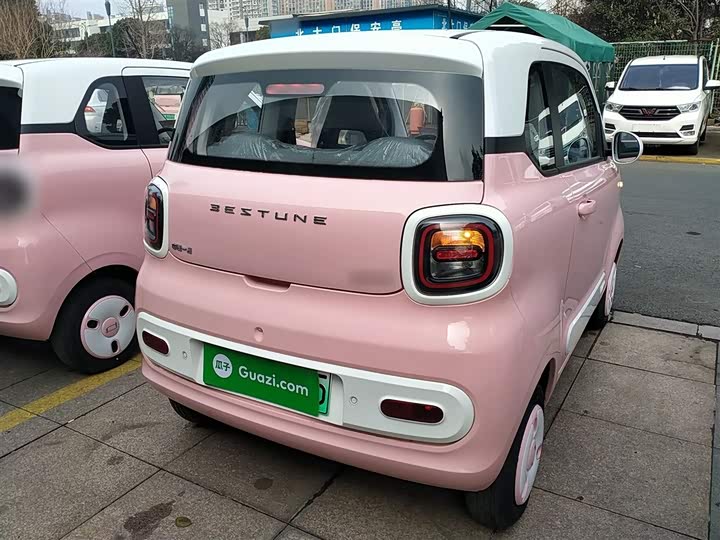 Фото 7 - Bestune Pony