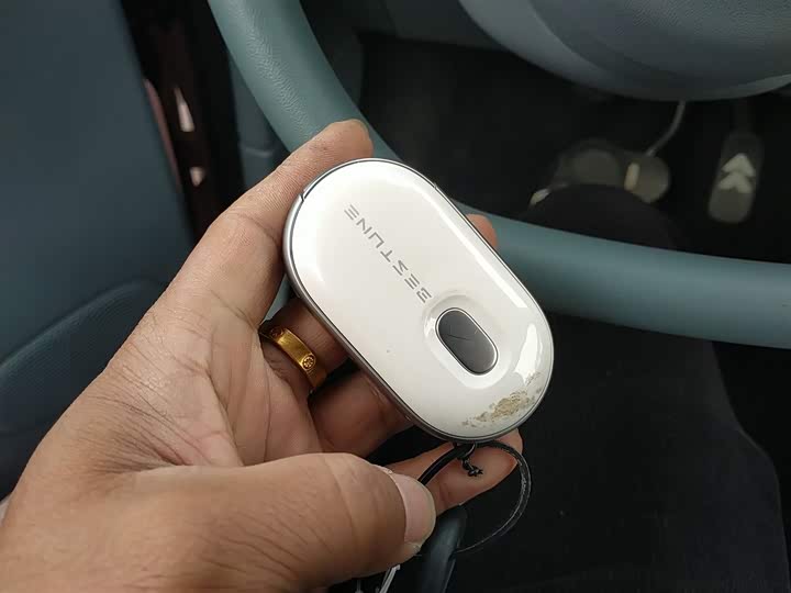 Фото 9 - Bestune Pony