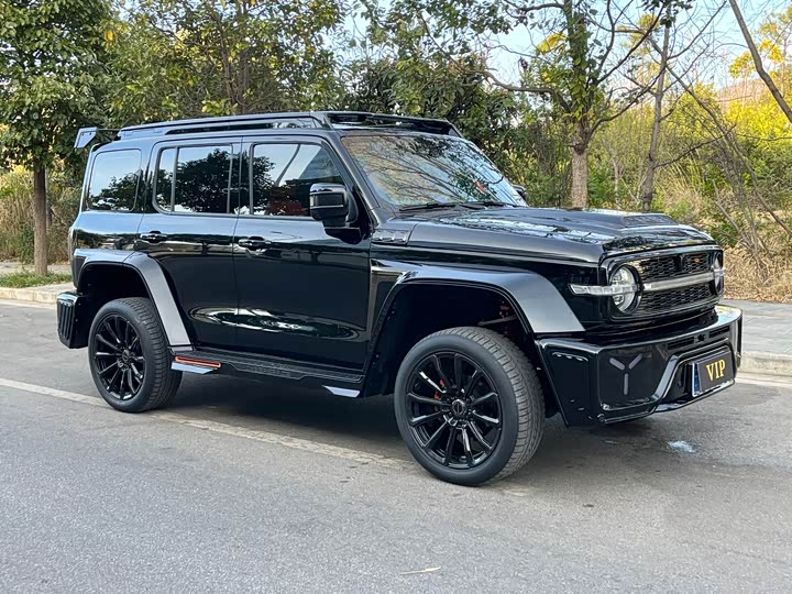 Фото 3 - Tank 300