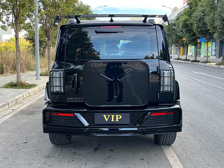 Фото 8 - Tank 300