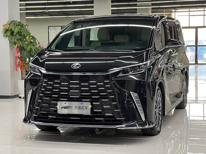 Фото 1 - Lexus LM