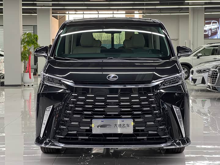 Фото 2 - Lexus LM