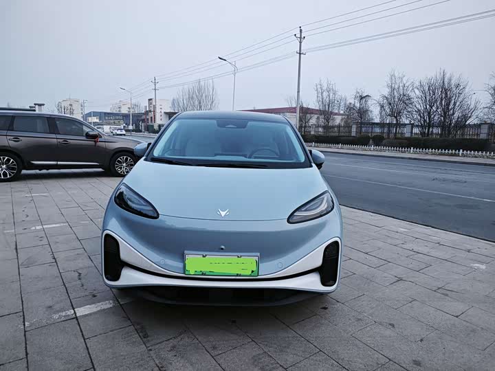 Фото 2 - BAIC Arcfox Kaola