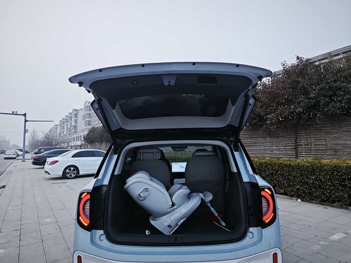 Фото 8 - BAIC Arcfox Kaola