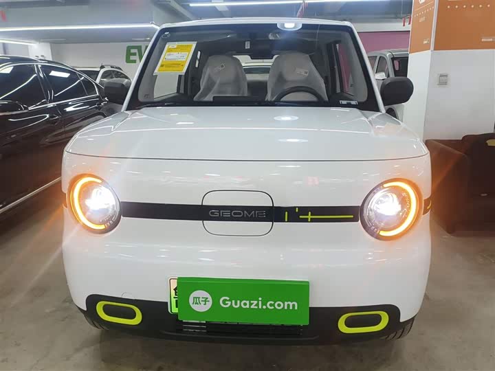 Фото 3 - Geely Galaxy Panda Mini