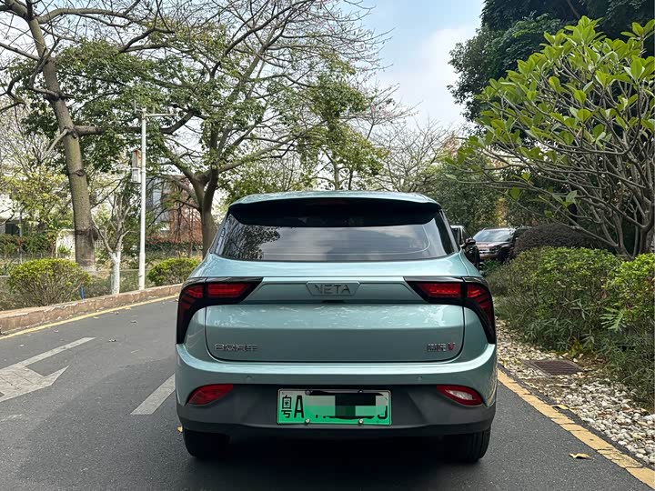 Фото 8 - Hozon V