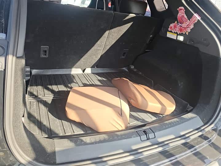 Фото 4 - Jetour Dashing