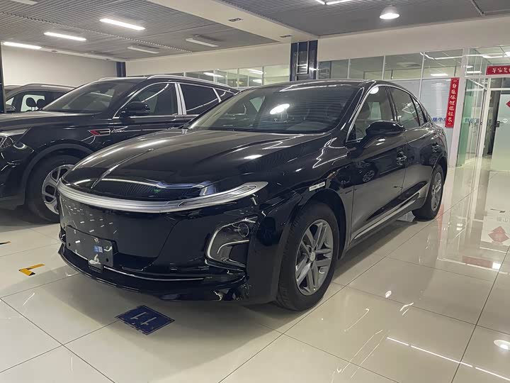 Фото 2 - Hongqi E-QM5