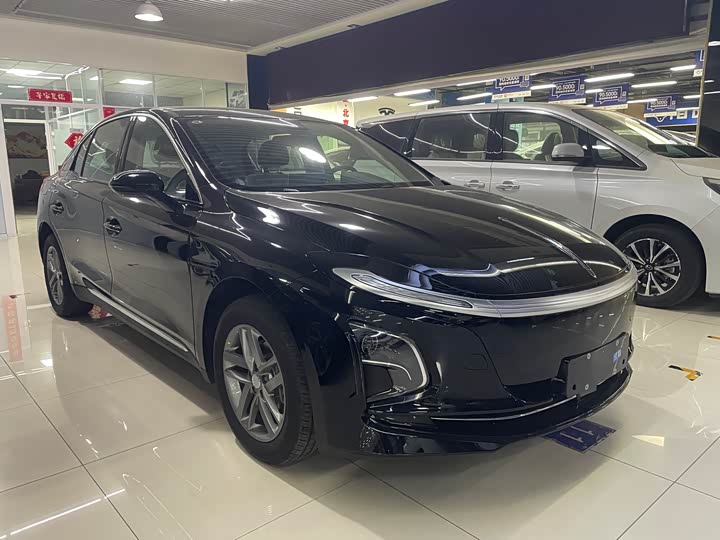 Фото 3 - Hongqi E-QM5