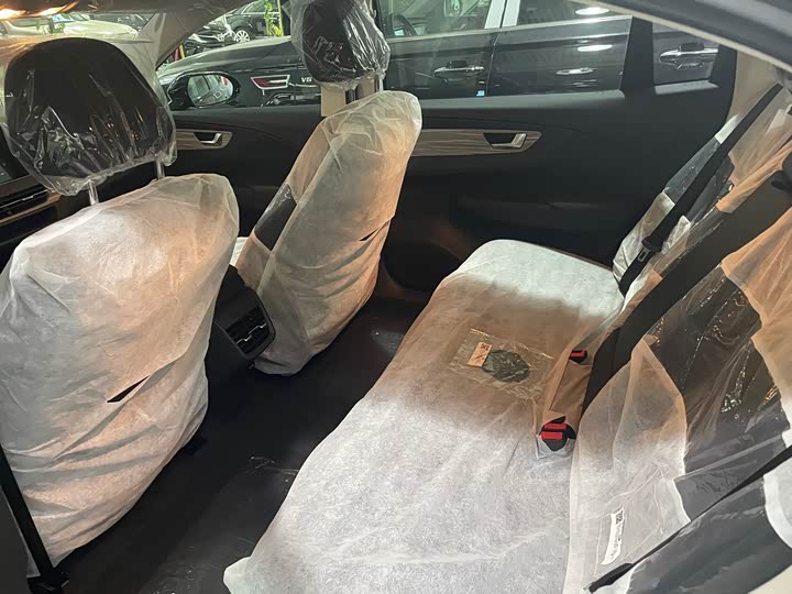 Фото 6 - Hongqi E-QM5