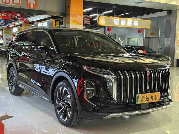 Фото 3 - Hongqi HS7 Hybrid