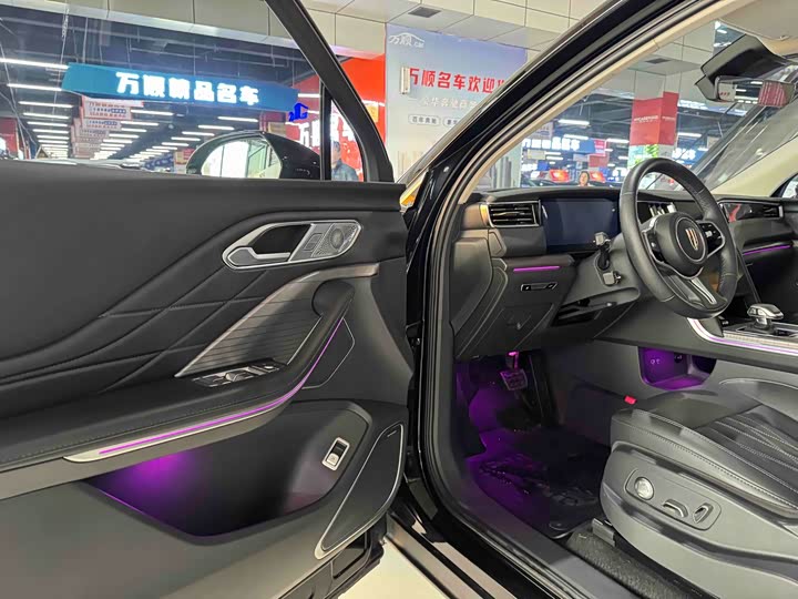 Фото 7 - Hongqi HS7 Hybrid