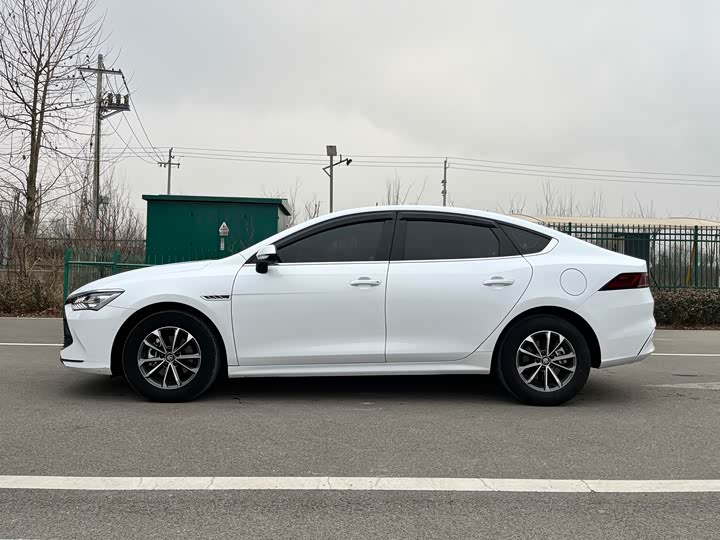 Фото 4 - BYD Qin Plus