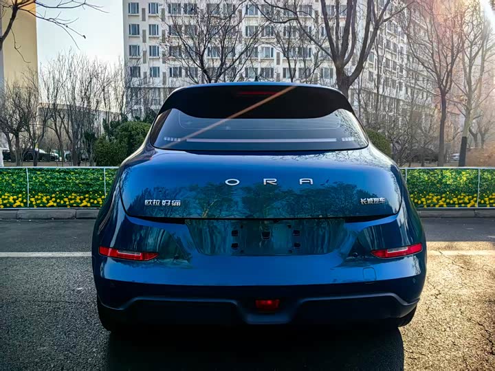 Фото 4 - Ora Good Cat (03)