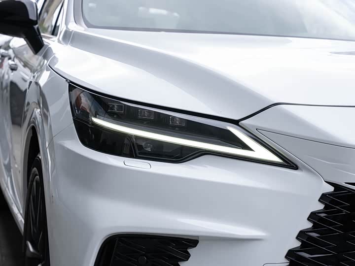 Фото 6 - Lexus RX