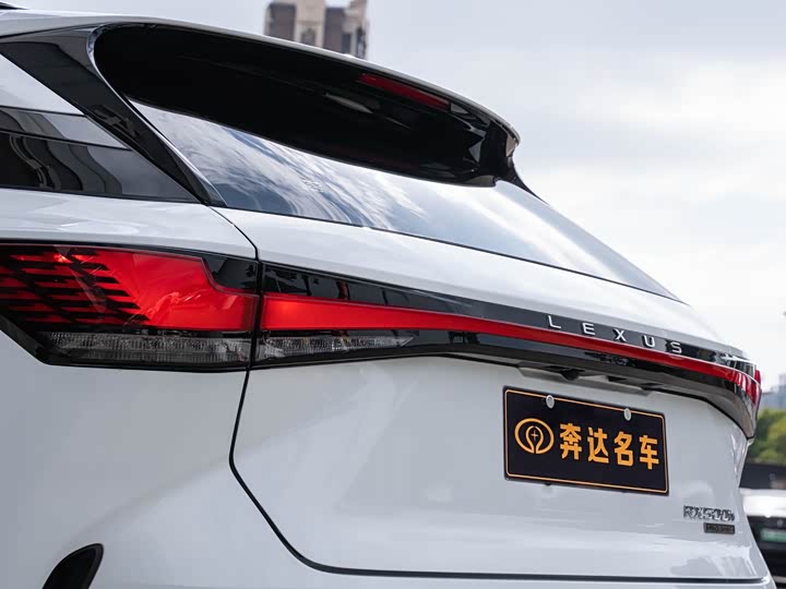 Фото 7 - Lexus RX