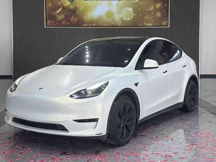 Фото 1 - Tesla Model Y