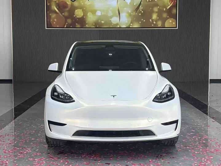 Фото 2 - Tesla Model Y