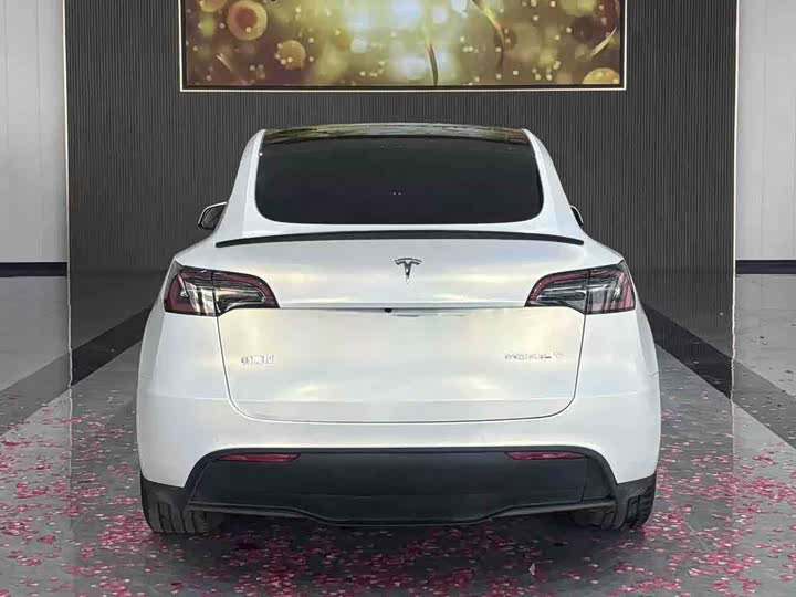Фото 3 - Tesla Model Y